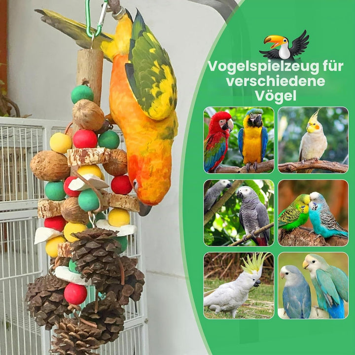 MQUPIN Papageienspielzeug, nussiges, nährstoffreiches Vogelspielzeug, natürliches hölzernes Beissspi