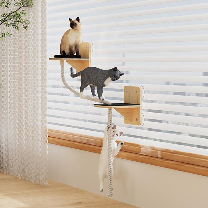 Wandregale Für Katzen-Platzsparendes Wandregal für Katzen mit Halterung,Kletterwand mit Liegeplatz,