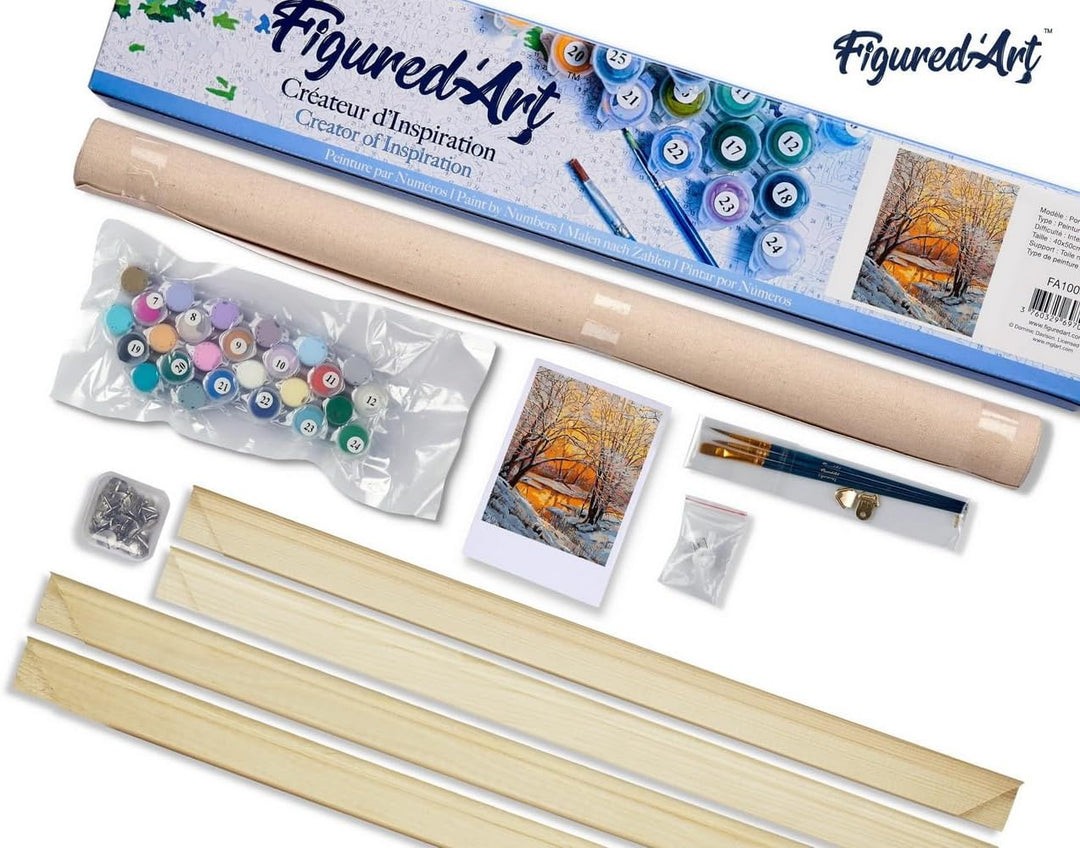 Figured'Art Malen Nach Zahlen Erwachsene Mit Rahmen Bäume im Winter - Paint by Numbers Basteln DIY B