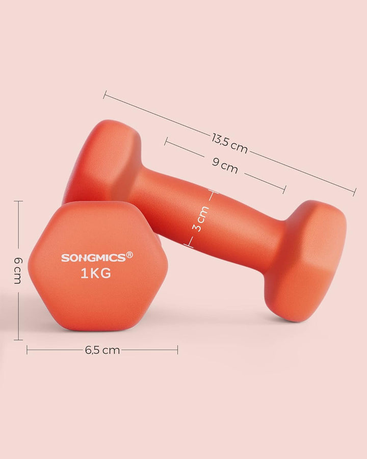 SONGMICS 2 Stück Hexagon Hanteln mit Neoprenbeschichtung für Krafttraining, Fitness, Zuhause 2 x 1 k