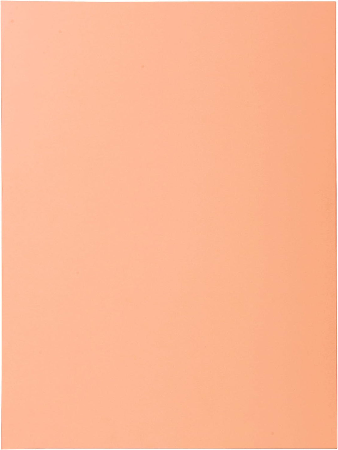 EXACOMPTA 332002E Ordnerrcken-Etiketten SPECIAL rot, rot