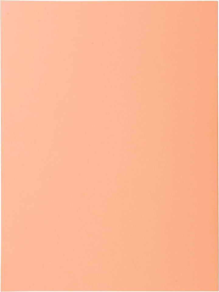 EXACOMPTA 332002E Ordnerrcken-Etiketten SPECIAL rot, rot