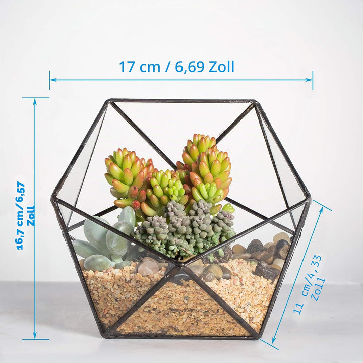 NCYP Handmade Blumentopf,Gemoetrisches Glasterrarium, dreieckig, in Form Einer Halbkugel, für Balkon