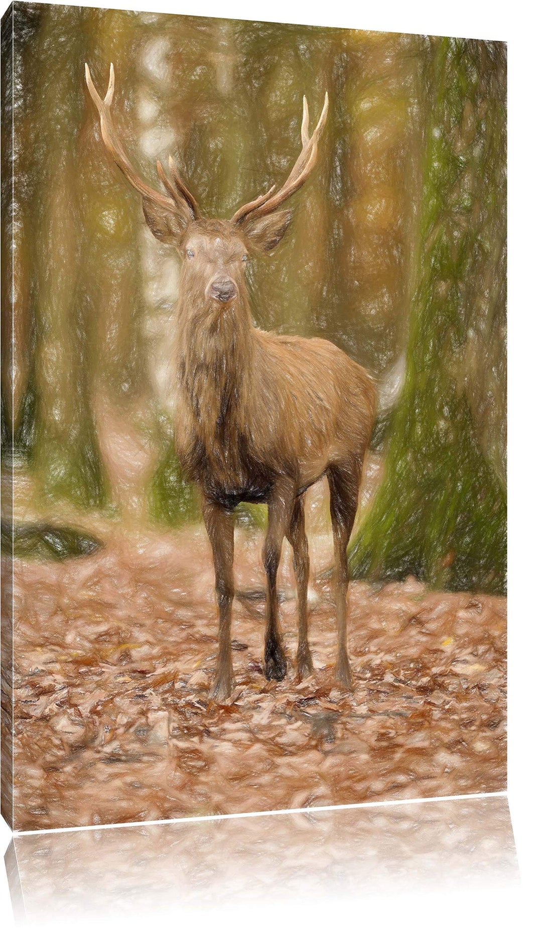Pixxprint Schöner Hirsch im Wald als Leinwandbild/Grösse: 100x70 cm/Wandbild/Kunstdruck/fertig bespa