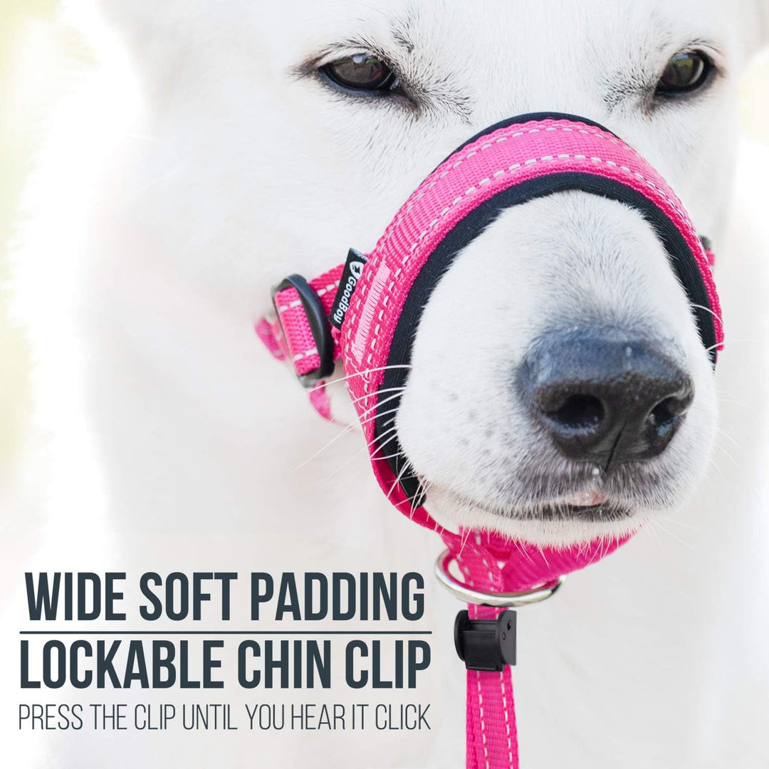 GoodBoy Halfter für Hunde, Nylon, Rosa, 2 Stück 2 Rosa Nylon / schwarze Polsterung, 2 Rosa Nylon / s