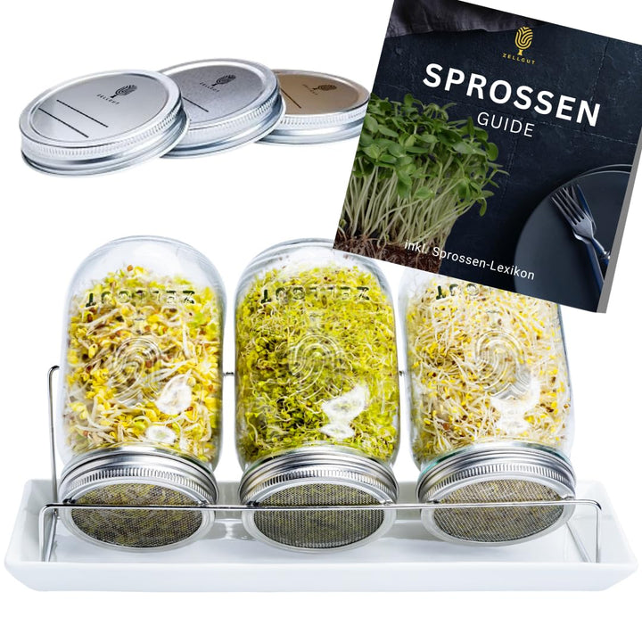 ZELLGUT® 2in1 Sprossenglas 3er Set - Keimglas 100% Plastikfrei - Vorratsglas Funktion durch extra De