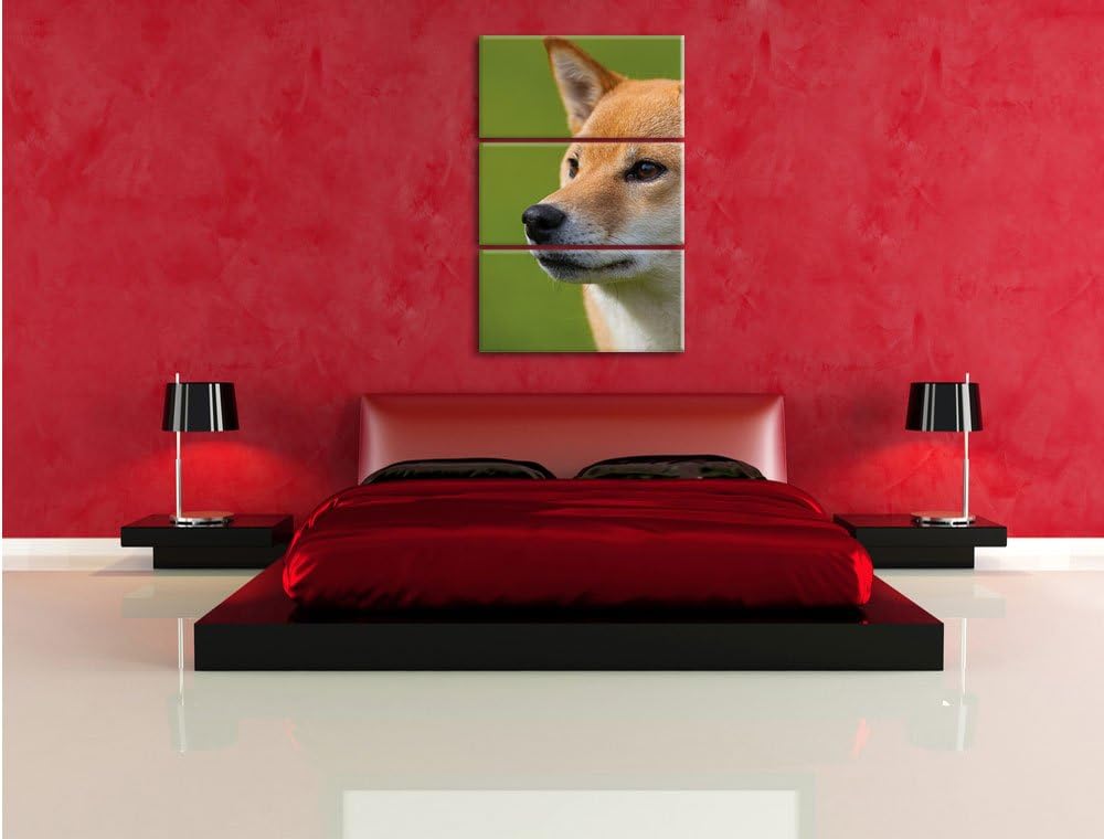 Pixxprint anmutiger Finnen-Spitz Hund im Gras 3-Teiler Leinwandbild 120x80 Bild auf Leinwand
