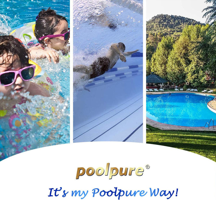 POOLPURE für antimikrobielle Spa-Filter Pleatco PRB50-IN-M, Unicel C-4950RA, Guardian 413-212-02, Fi