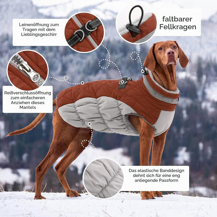 Kuoser Hundejacke Für Grosse Hunde - Wasserdichter Wintermantel Mit Geschirr, Warme Winterweste, Hun