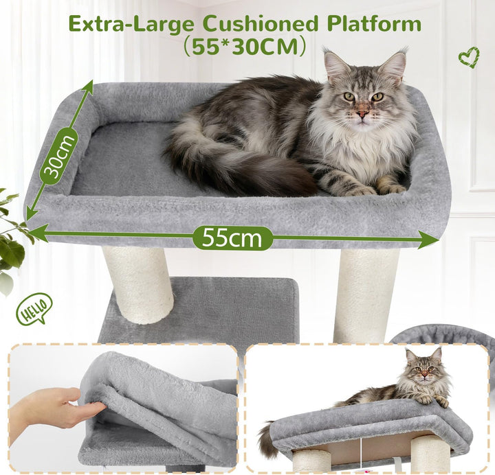 Globlazer Kratzbaum Dicke Stämme 11CM für Grosse Katzen mit 2 Extragross Katzenhaus 50*35*30cm, Ausr