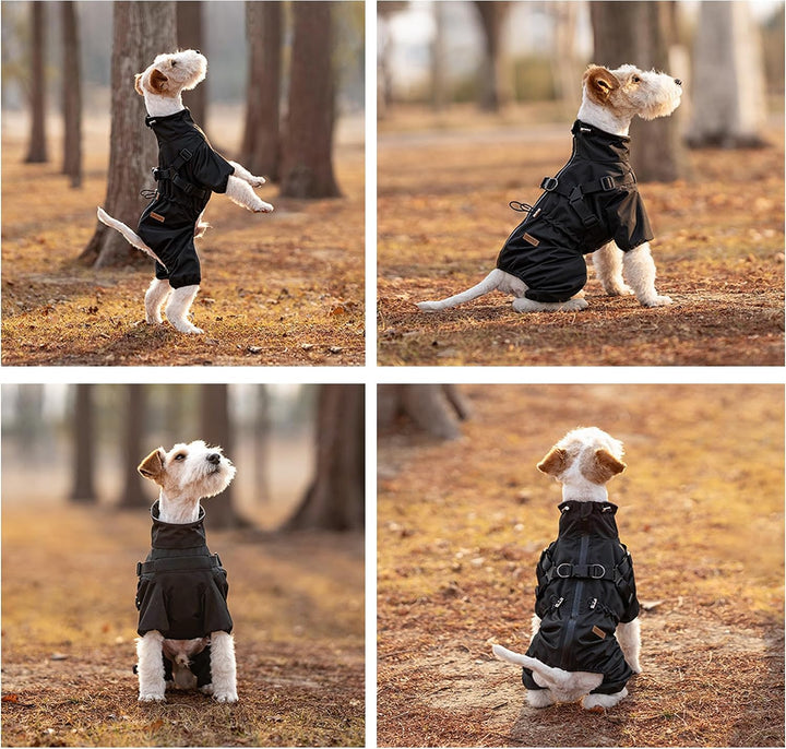 Hundegeschirr, Regenmantel, verstellbar, 4 Beine, Hundejacke mit Geschirr, reflektierender Overall,