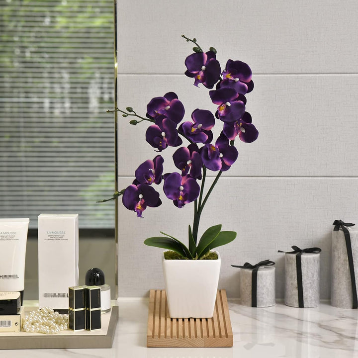 YSZL Phalaenopsis Orchidee, 38,1 cm, gross, Dunkelviolett, Dunkelviolett