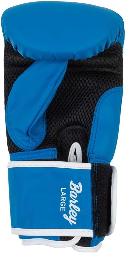 Lonsdale Boxsackhandschuhe aus Kunstleder Barley Blue/White S, Blue/White S
