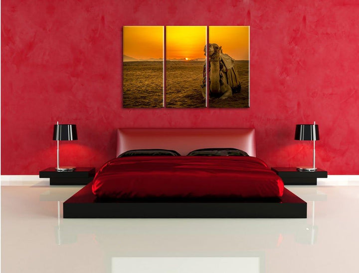 Pixxprint Kamel in Wüste bei Sonnenaufgang als Leinwandbild/Grösse: 3 Teilig (120x80 cm) cm/Wandbild