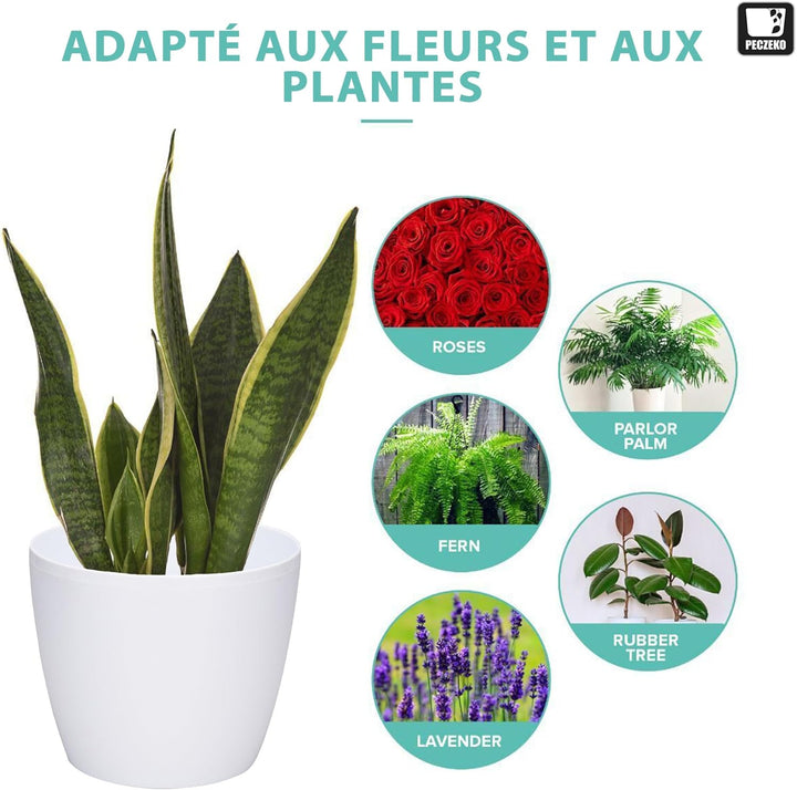 PECZEKO Glänzende Blumentöpfe - Deko Pflanztopf für Blumen & Kräuter - Langlebige & leichte runde Ku