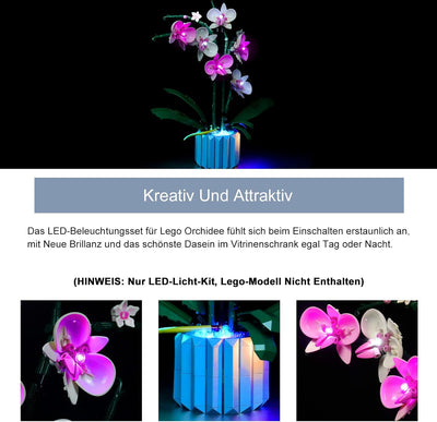 Led Licht Set für Lego Orchidee,Sound Version (Spiel Musik) Dekorationsbeleuchtungsset für Lego 1031