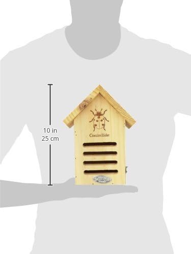 Esschert Design USA WA39 WA37 Marienkäferhaus-Silhouette FSC 100%, braun