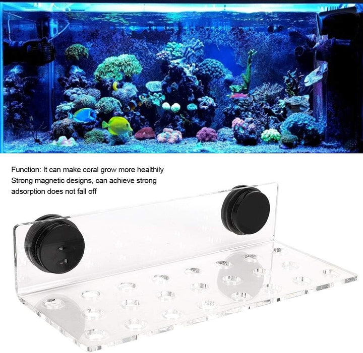 Coral Frag Rack Acryl Aquarium Magnet Coral Frag Halter Aquarium Coral Frag Rack Halterung für Aquar