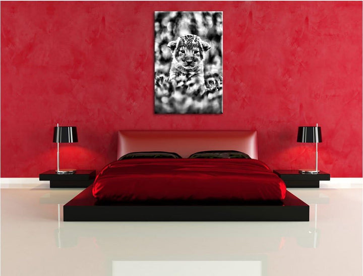 Pixxprint Niedliches Löwenbaby als Leinwandbild/Grösse: 100x70 / Wandbild/Kunstdruck/fertig bespannt