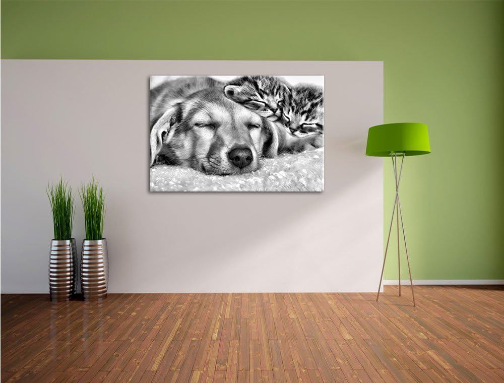 Pixxprint Monocrome, Kätzchen und Hund schmusend, Format: 100x70 auf Leinwand, riesige Bilder fertig