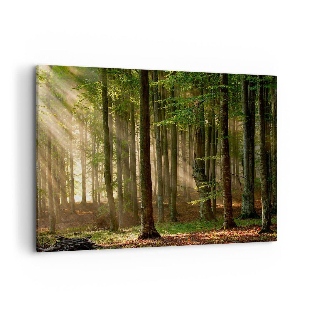 Bilder auf Leinwand 100x70cm Leinwandbild mit Rahmen Wald Baum Natur Gross Wanddeko Bild Schlafzimme
