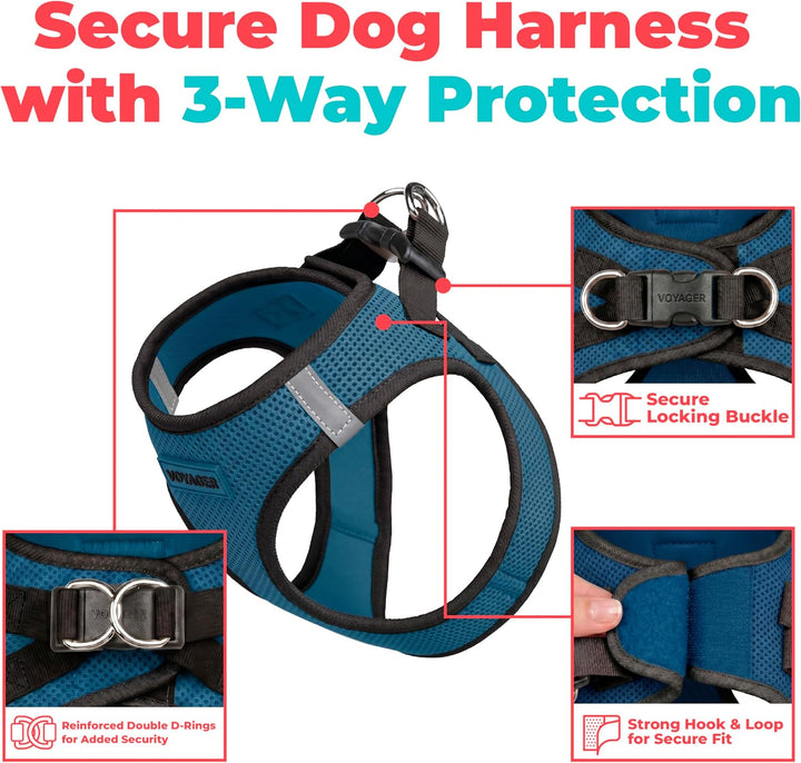 Best Pet Supplies Voyager Step-In Air Hundegeschirr – Allwetter-Netzgewebe für kleine und mittelgros