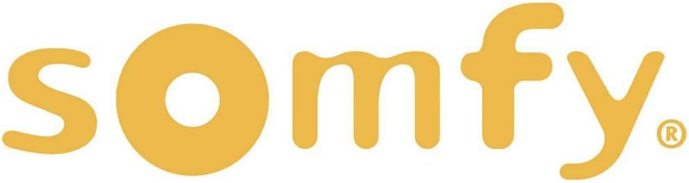 Somfy 2400597 -Schlüsseltaster Aufputz zur Bedienung von Torantrieben, grau