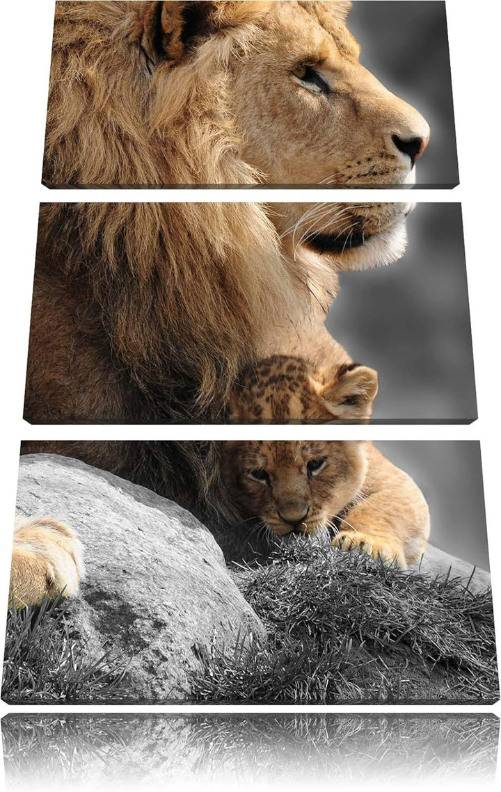 Löwe beschützt sein Löwenbaby schwarz/weiss 3-Teiler Leinwandbild 120x80 Bild auf Leinwand, XXL ries