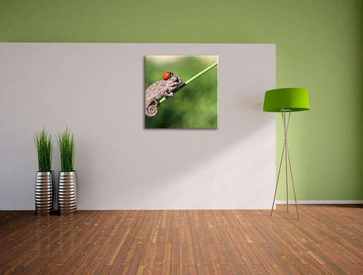 Pixxprint Süsser Gecko mit einem Marienkäfer als Leinwandbild Quadratisch/Grösse: 70x70 / Wandbild/K