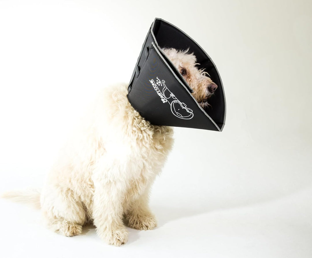 All Four Paws „The Comfy Cone“ Halskrause für Haustiere, XL (1er Pack) Extra Large schwarz, Extra La