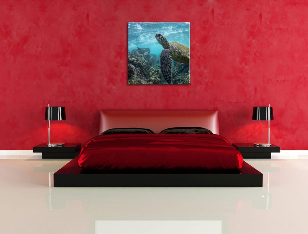 Schildkröte im Pazifik, Format: 70x70 auf Leinwand, XXL riesige Bilder fertig gerahmt mit Keilrahmen