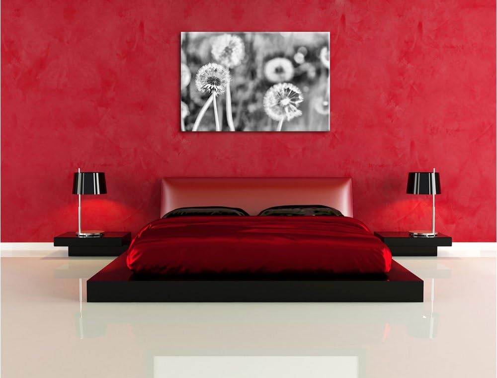 Pixxprint Romantische Pusteblumen / 100x70cm Leinwandbild bespannt auf Holzrahmen/Wandbild Kunstdruc