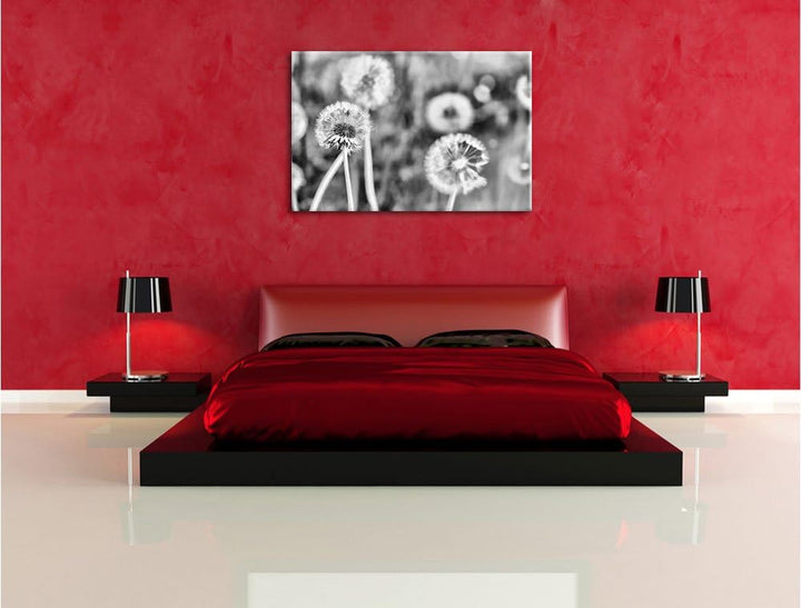 Pixxprint Romantische Pusteblumen / 100x70cm Leinwandbild bespannt auf Holzrahmen/Wandbild Kunstdruc