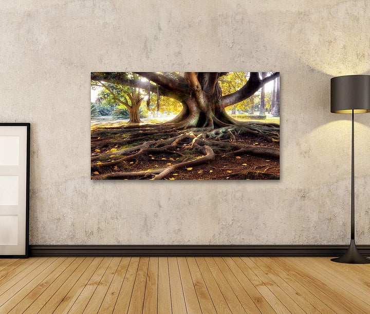 islandburner Bild auf Leinwand Hundertjähriger Baum Bilder Wandbilder Poster Leinwand 80x40cm, Leinw