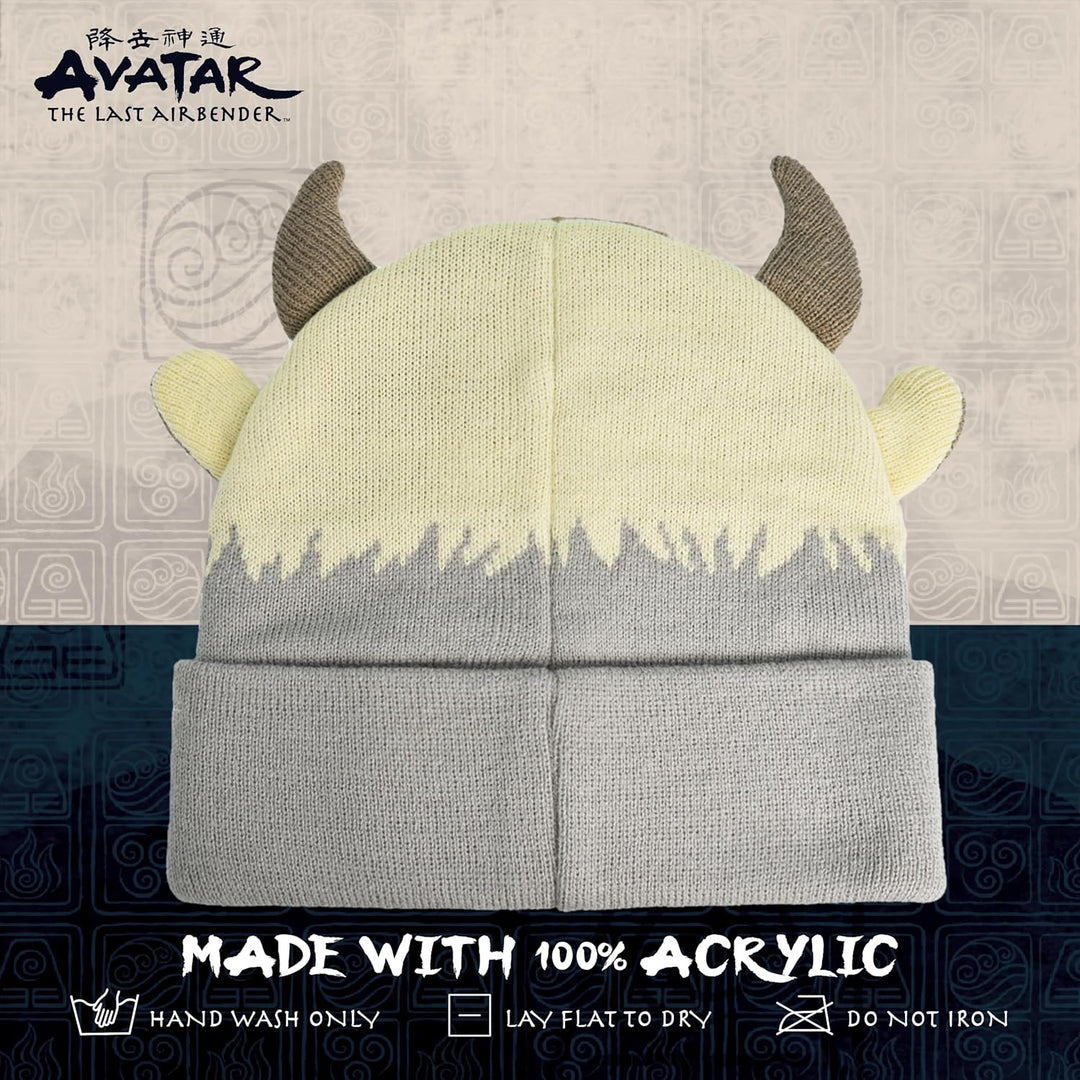 Avatar The Last Airbender Strickmütze für den Winter, mit Manschette, Mehrfarbig, Einheitsgrösse mul
