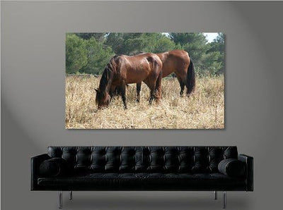 islandburner Bild Bilder auf Leinwand Horses V2 Pferde 1p XXL Poster Leinwandbild Wandbild Dekoartik