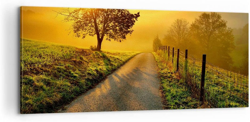 Panorama Bilder auf Leinwand 100x40cm Leinwandbild Feld Strasse Baum Gross Wanddeko Bild Schlafzimme