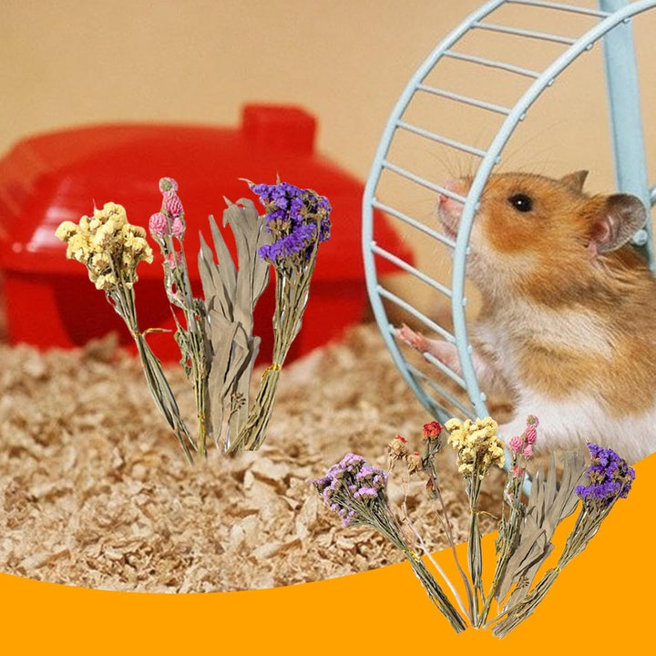 Hamster Heublumen Einstreu, Blumen-Hamster-Bettwäsche, Trockenblumen Für Hamster, Trockenblumen-Hams