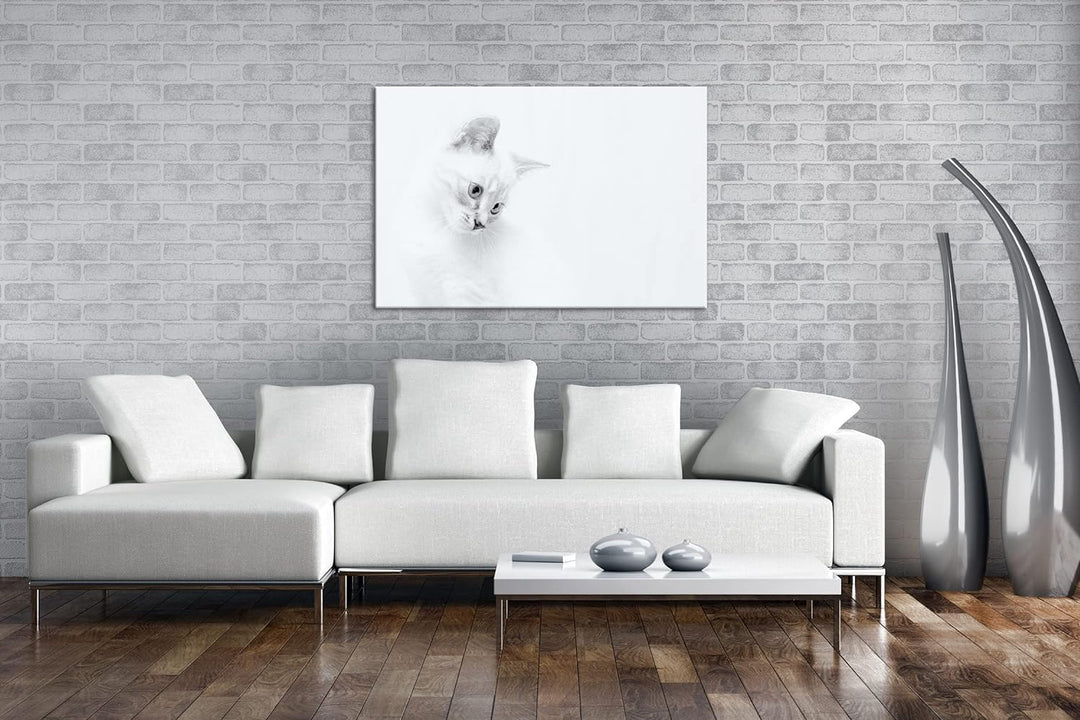 deyoli schneeweisses Kätzchen Format: 80x60 als Leinwandbild, Motiv fertig gerahmt auf Echtholzrahme