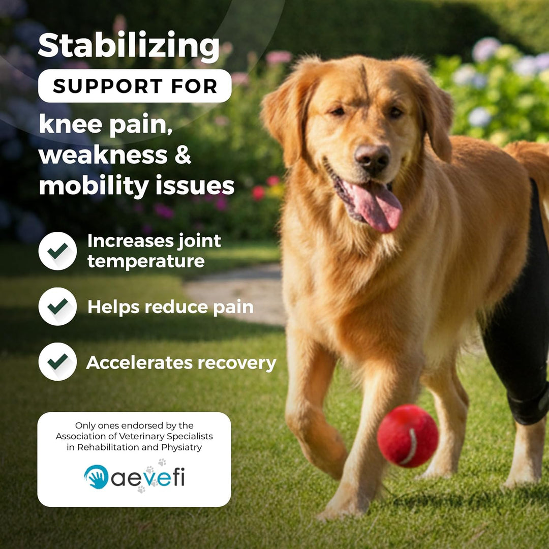 Ortocanis - Kniebandage für Hunde mit Kreuzbandverletzungen, Patellaluxation oder Arthrose, Grösse X