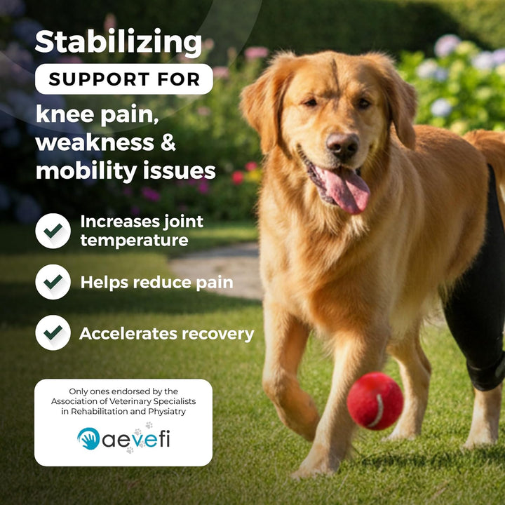 Ortocanis - Kniebandage für Hunde mit Kreuzbandverletzungen, Patellaluxation oder Arthrose, Grösse X