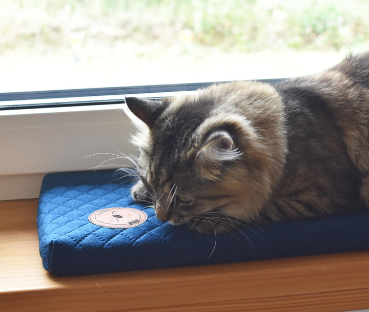 Prime Katzen Fensterliege Für Katzen, Fensterbank mit Einer Rutschfesten Rückseite, Katzenbett Fenst
