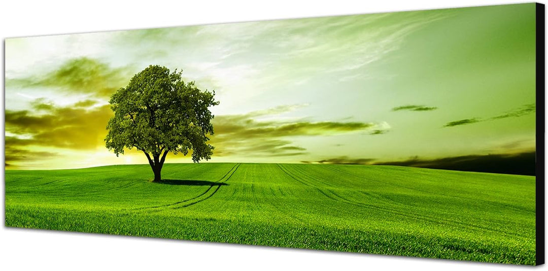 Paul Sinus Art Panoramabild auf Leinwand und Keilrahmen 120x40cm Landschaft Wiese Baum Wolkenschleie