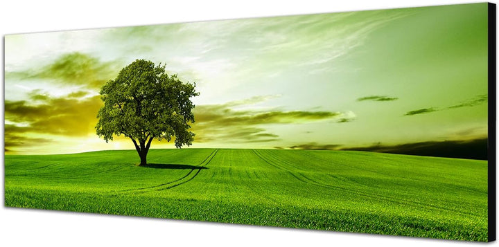 Paul Sinus Art Panoramabild auf Leinwand und Keilrahmen 120x40cm Landschaft Wiese Baum Wolkenschleie