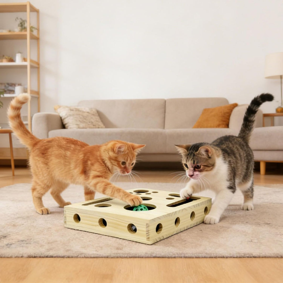 Beschäftigungsbox Krallenfeile Katzen - 30X25X8CM Katzen Kratzbrett, Enrichment für Katzen, Kratzspi
