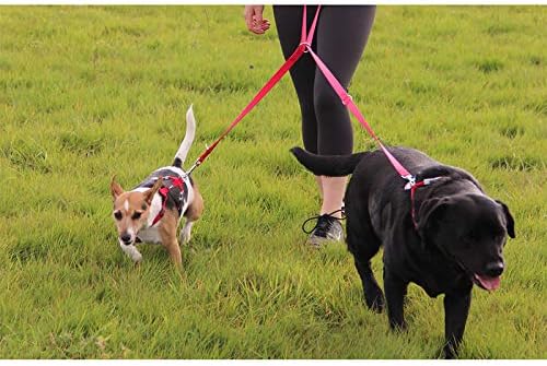 Red Dingo Trainingsleine, einfarbig, Gelb, 20 mm x 2 m, Einheitsgrösse gelb einheitsgrösse, gelb ein