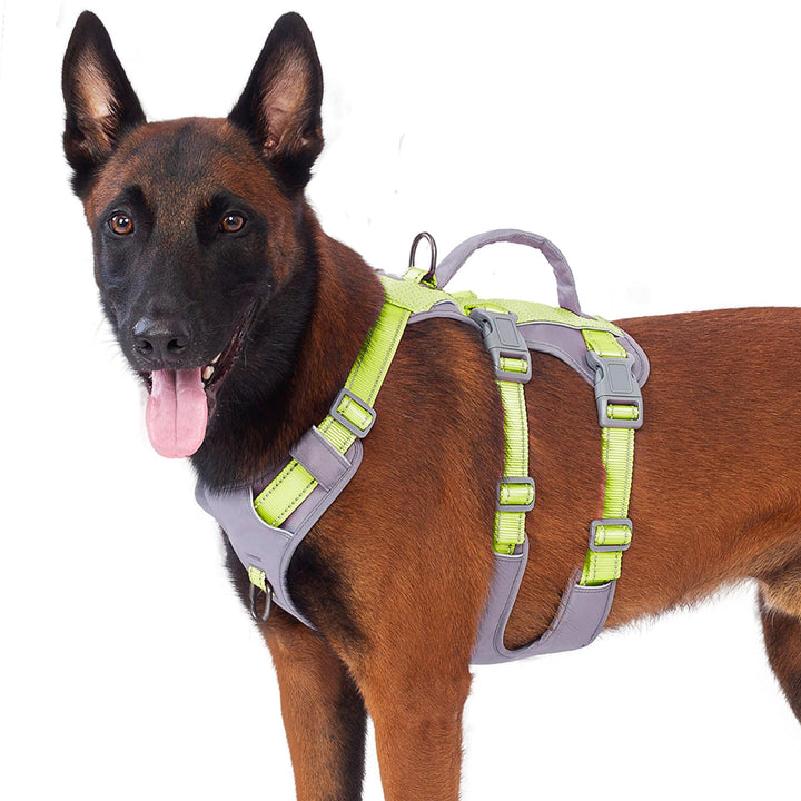 Huntboo Sicherheitsgeschirr Hund Ausbruchsicher, Panikgeschirr für Hunde, Reflektierendes Geschirr H
