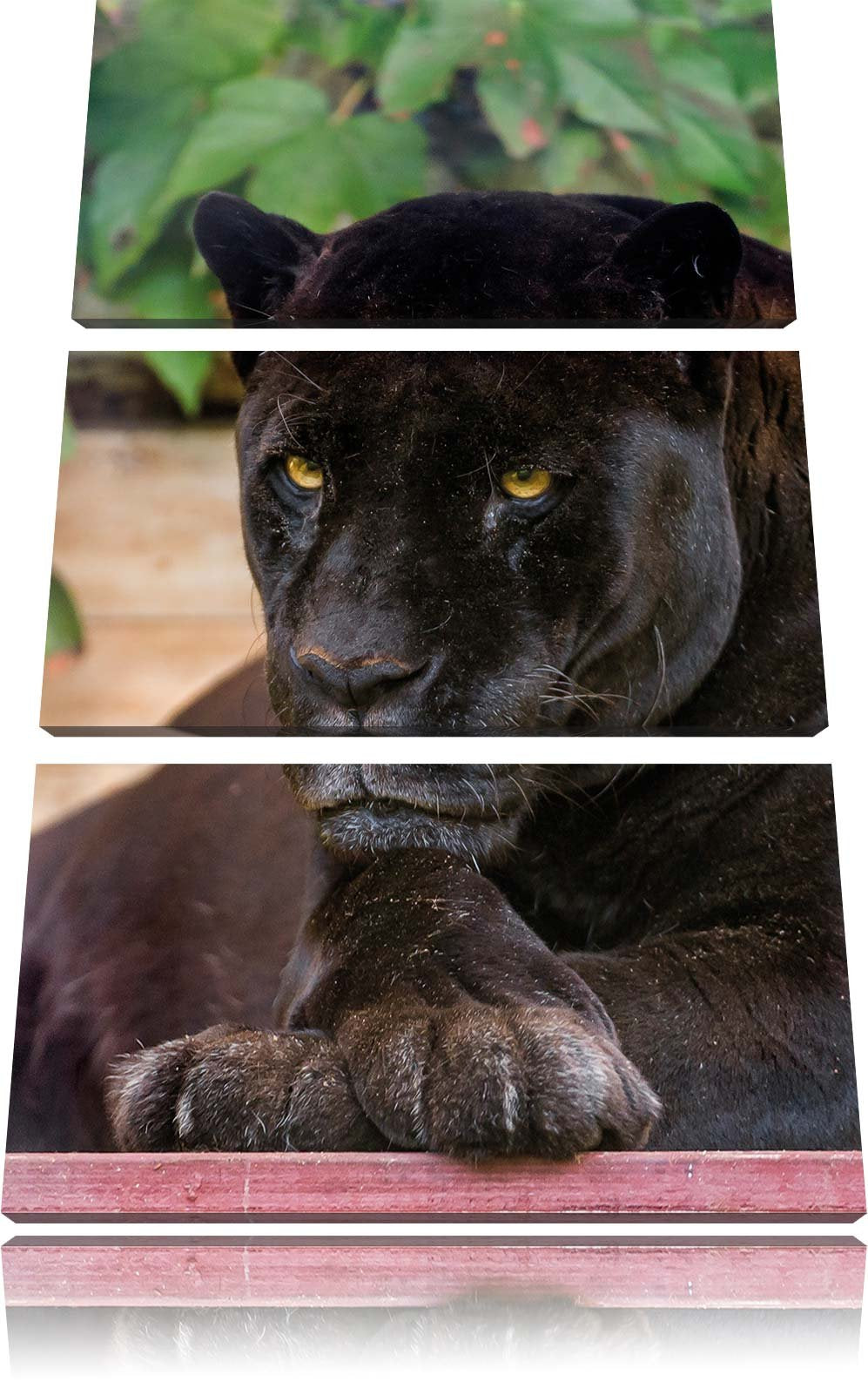 Pixxprint schöner schwarzer Panther 3-Teiler Leinwandbild 120x80 Bild auf Leinwand