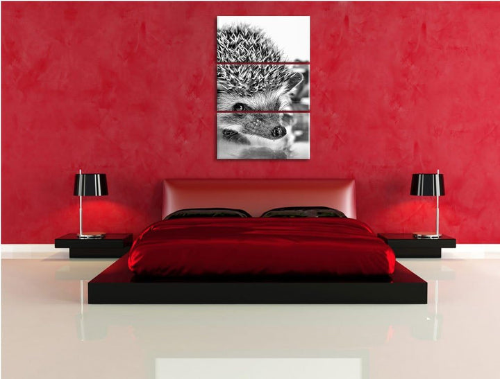 Pixxprint Süsser Igel als Leinwandbild/Grösse: 3 Teilig (120x80 cm) cm/Wandbild/Kunstdruck/fertig be
