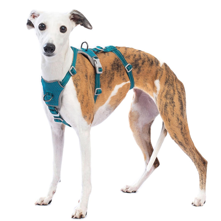 Huntboo Sicherheitsgeschirr Hund Ausbruchsicher, Panikgeschirr für Hunde, Anti Zug Hundegeschirr, Re